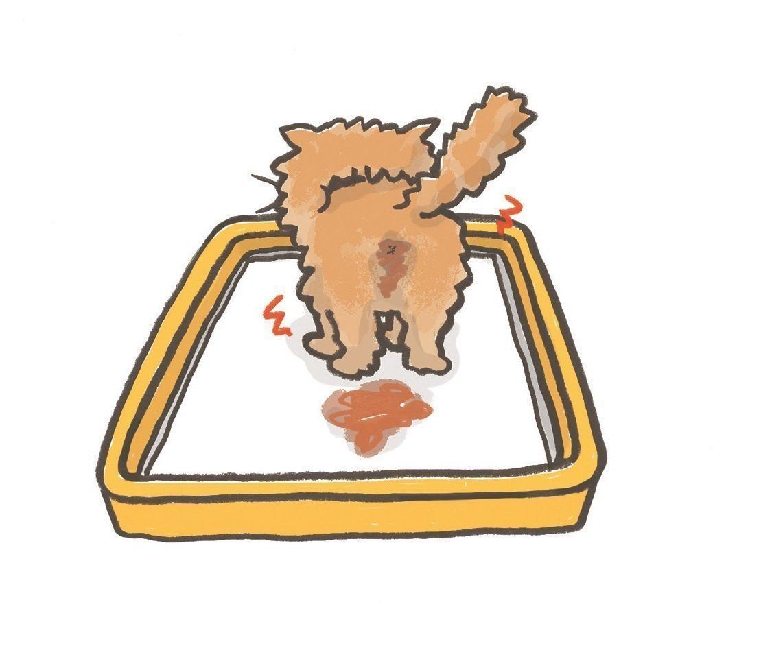 イラスト／上垣厚子