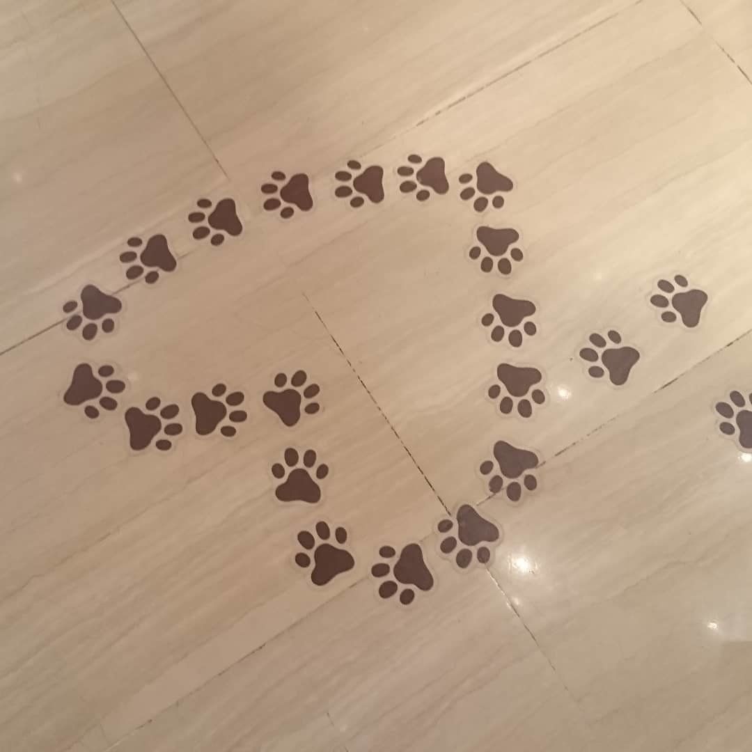 猫の足跡で描かれたハート