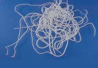 写真提供／佐伯英治先生