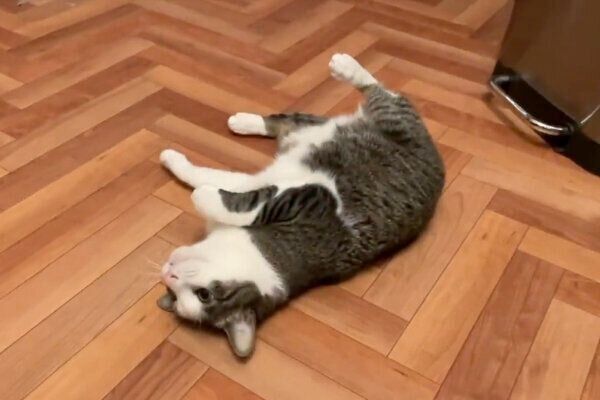 床に倒れこむことちゃん