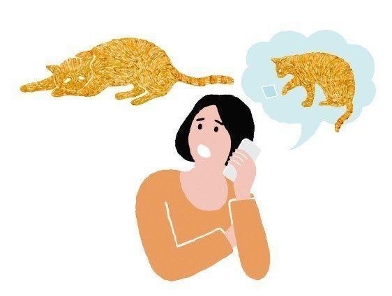 イラスト／柿崎サラ