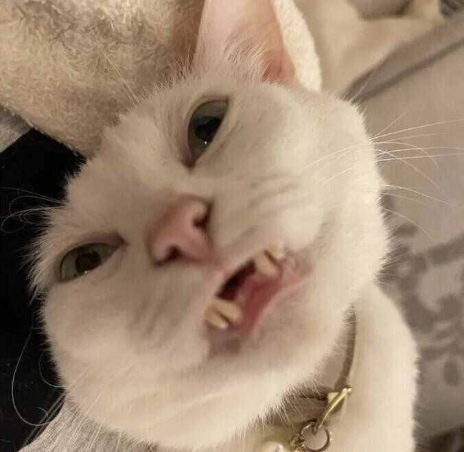 アヘアヘ顔になるミルくん