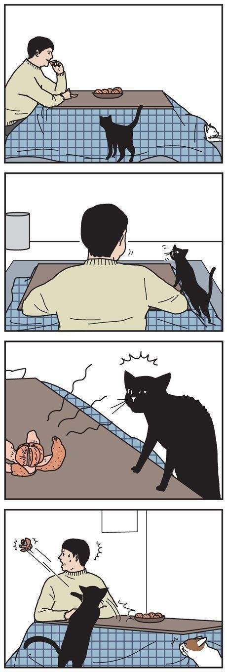 男の猫道