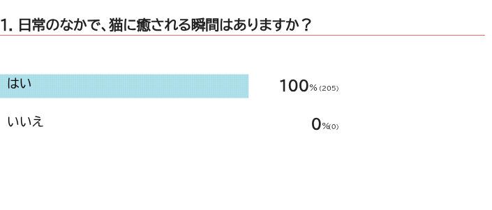 猫に癒される瞬間はある？
