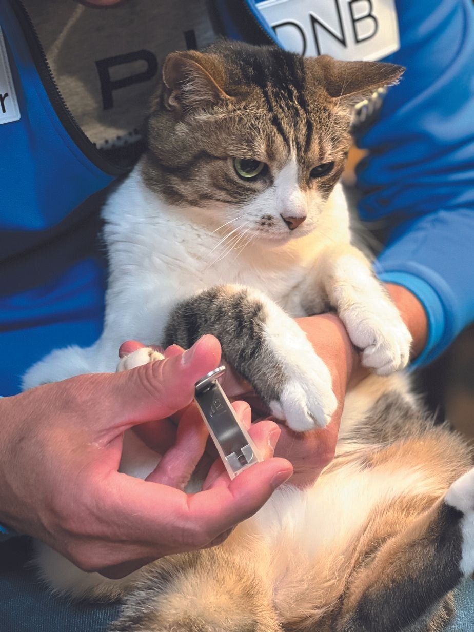 画像／ねこのきもち2023年5月号