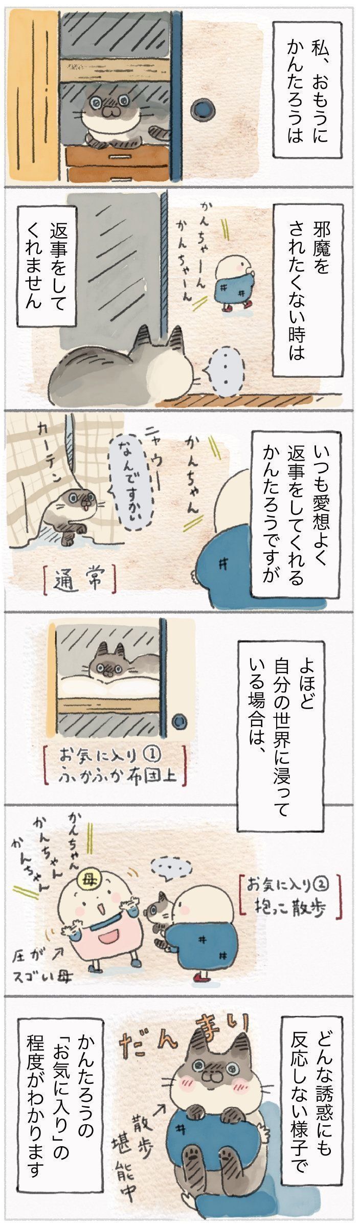 「ねこ連れ草」77話め