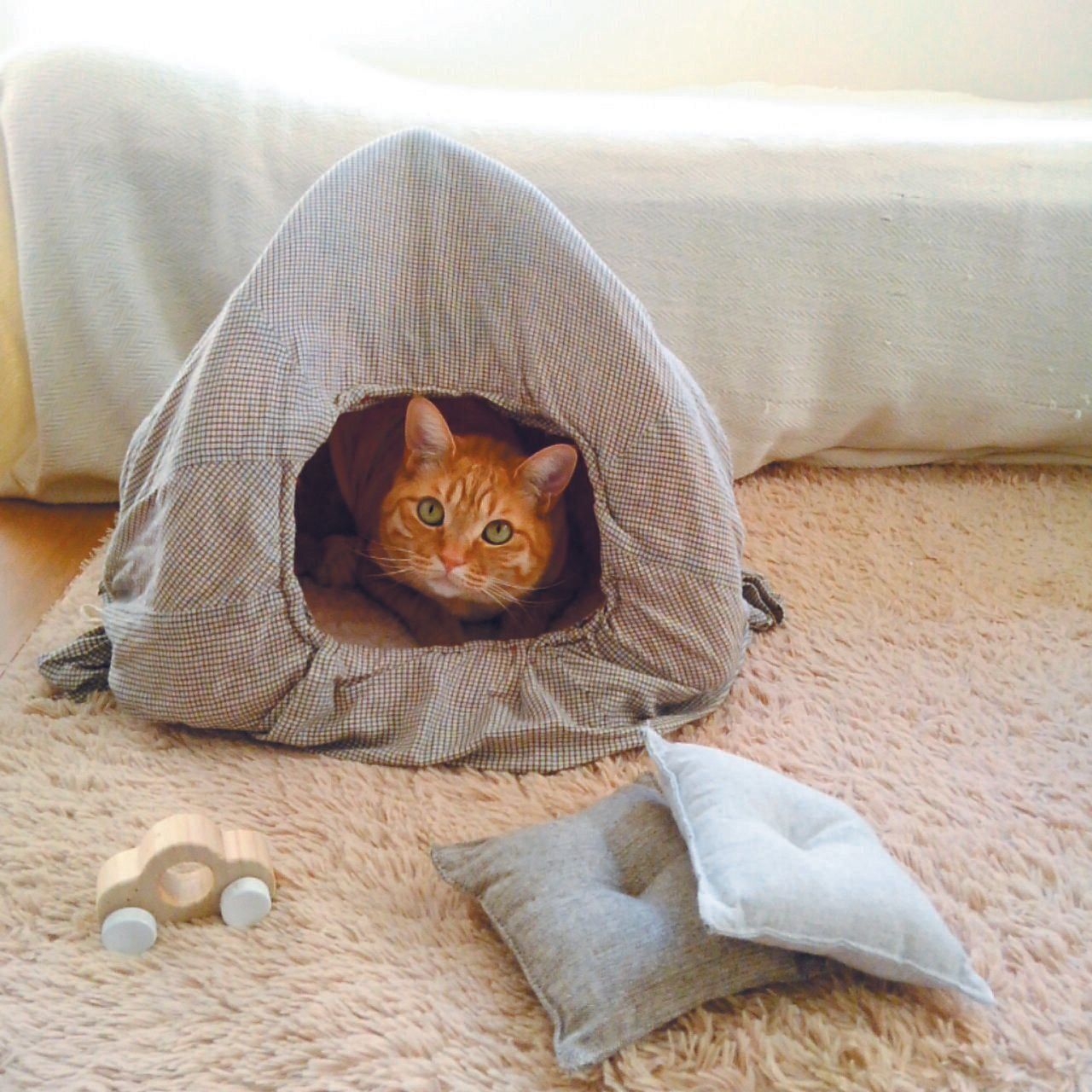 撮影／中川文作