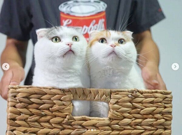 仲良しなライくん、いとさん