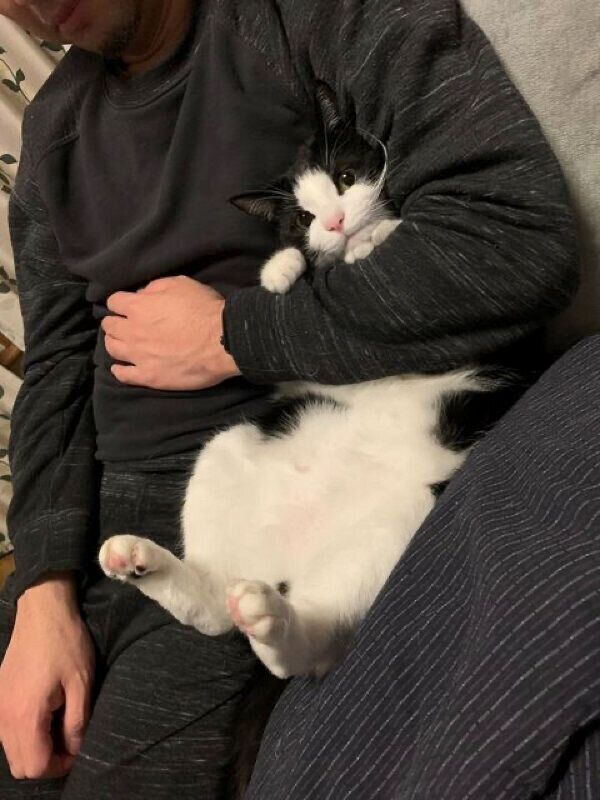 まったりするもみじちゃん