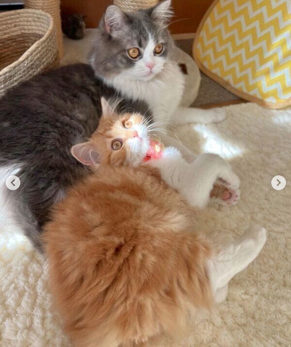 まったりする海くんと風ちゃん