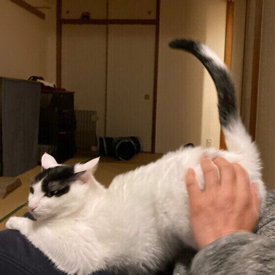 幸ちゃんのおしり