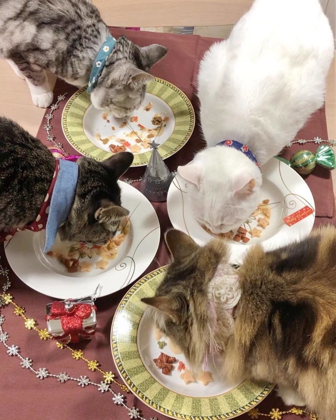 みんなでもぐもぐ♪