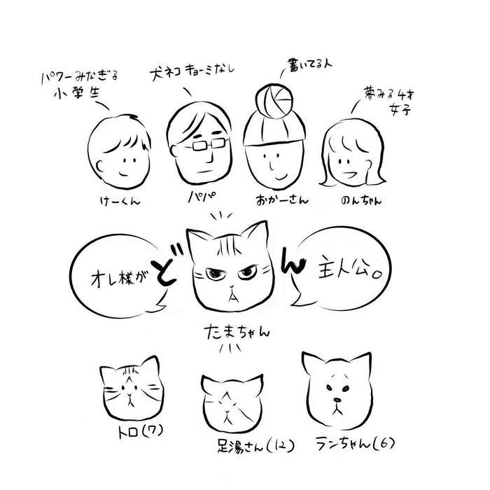 ねこのきもちWEB MAGAZINE連載「交通事故にあった猫を拾いました」