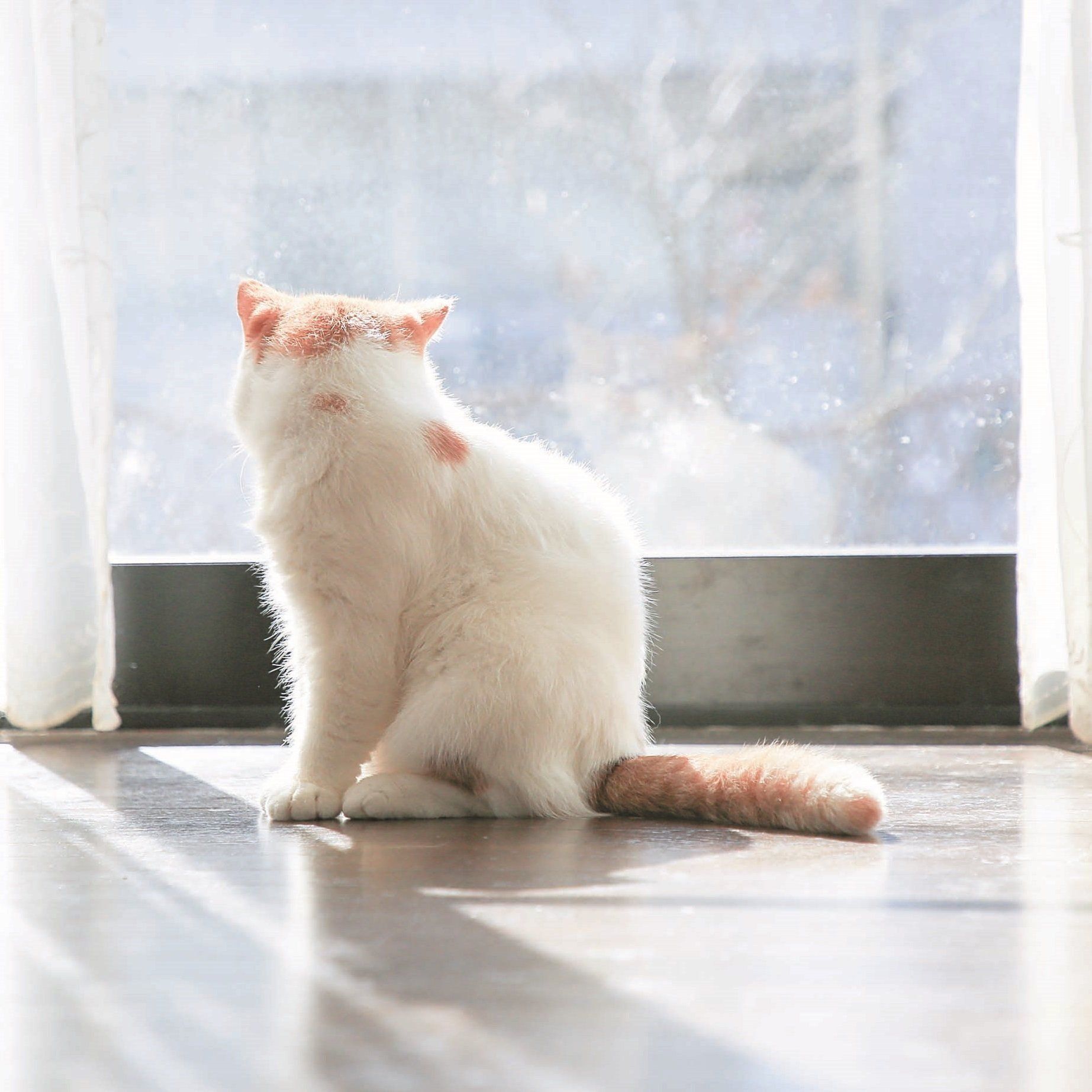 写真／長谷川里美