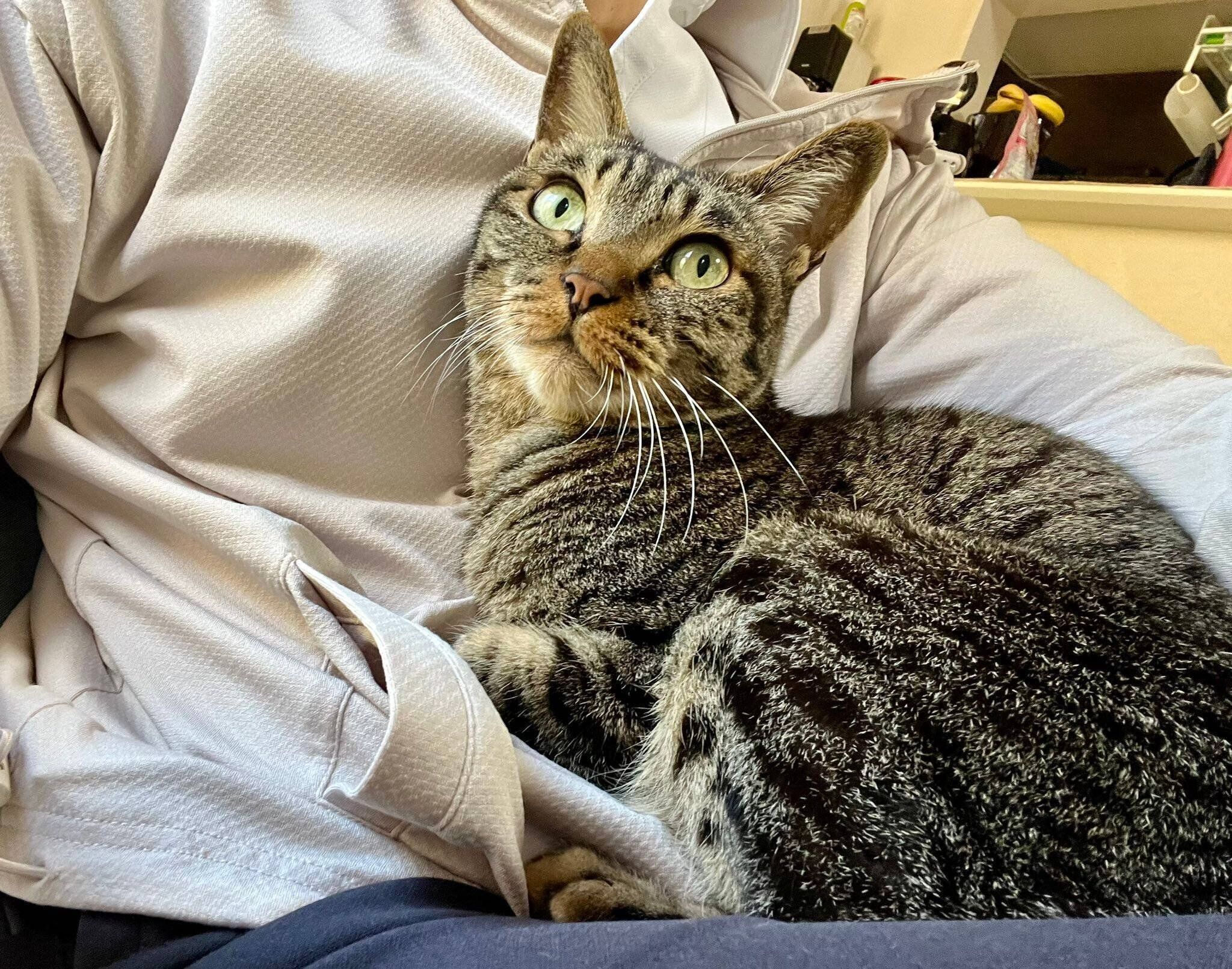 飼い主に甘えるハジメくん