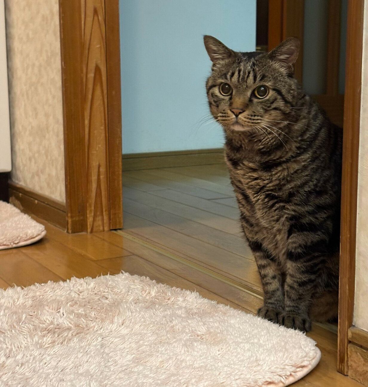 お風呂に入るパパさんの様子を見に来た虎三郎くん