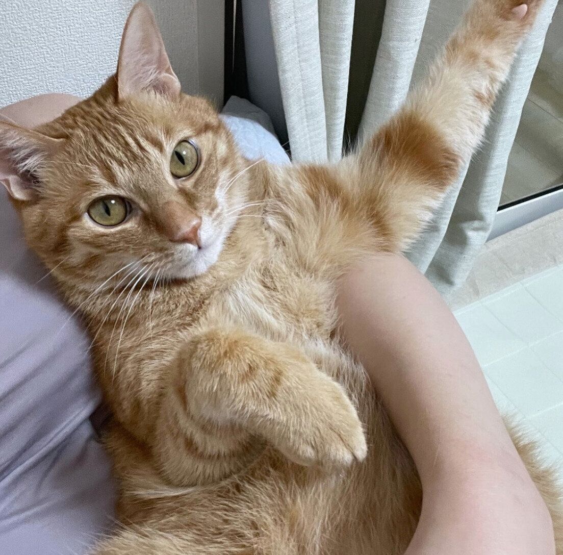 飼い主さんに甘えるうにくん