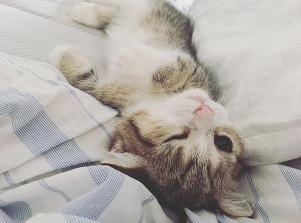 リラックスするよぐちゃん