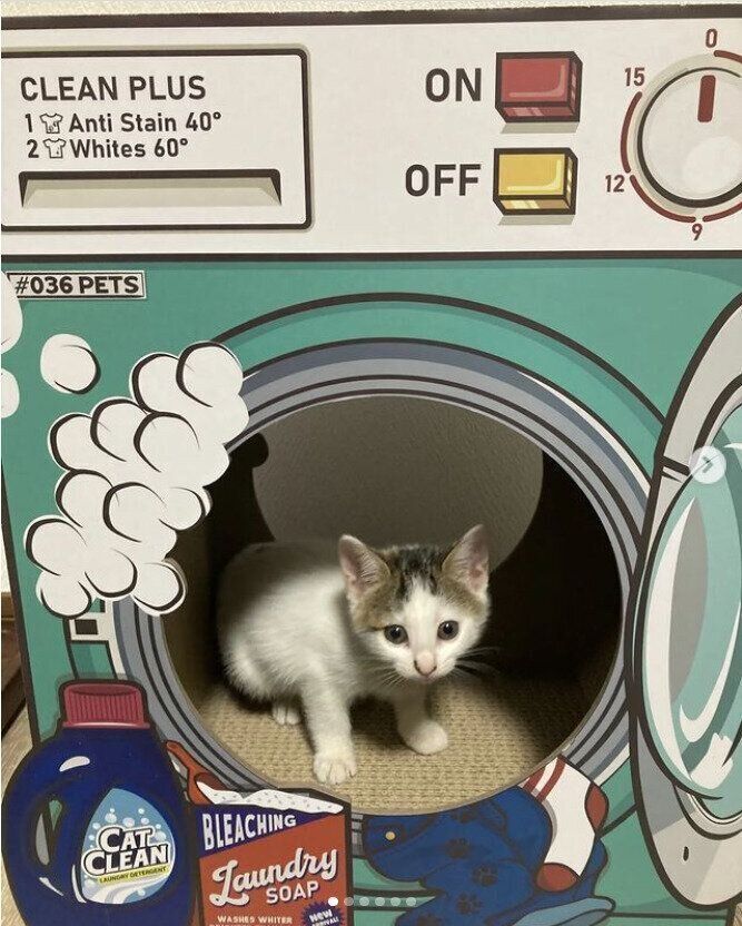 ＠karinrin0827さんの爪とぎ