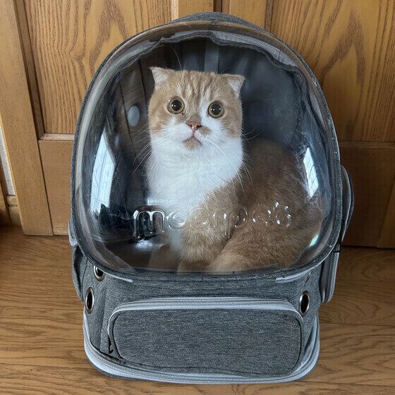 ミヌエットのうにくん