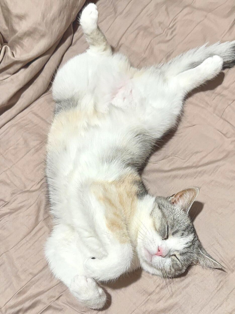 無防備な姿で眠る彩春ちゃん。