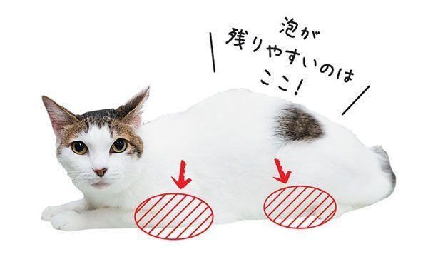 シャンプーの泡が残りやすい部分