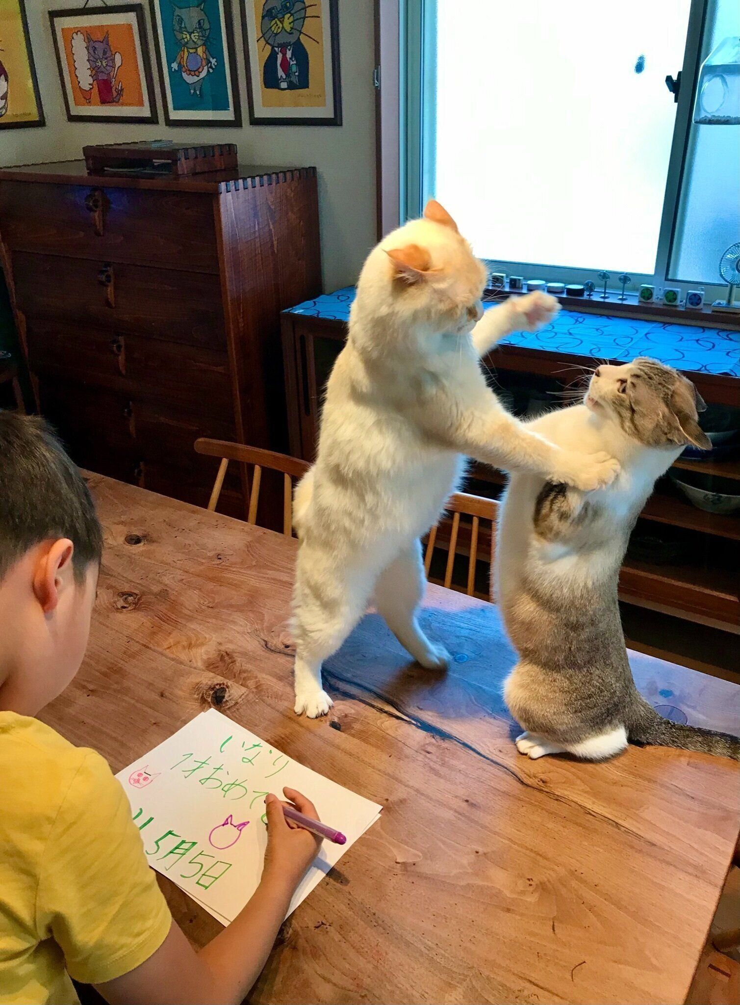 ケンカを始める猫たち