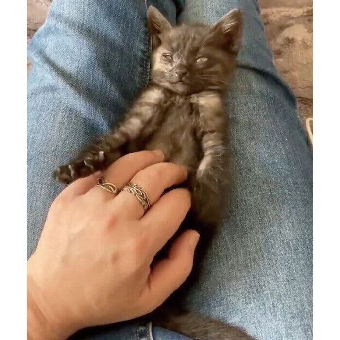 お迎えして2日目のてんちゃん