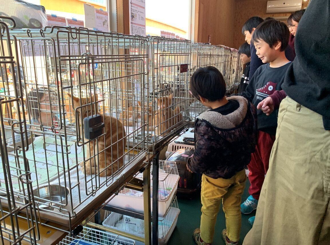 写真提供／一般社団法人Do One Good