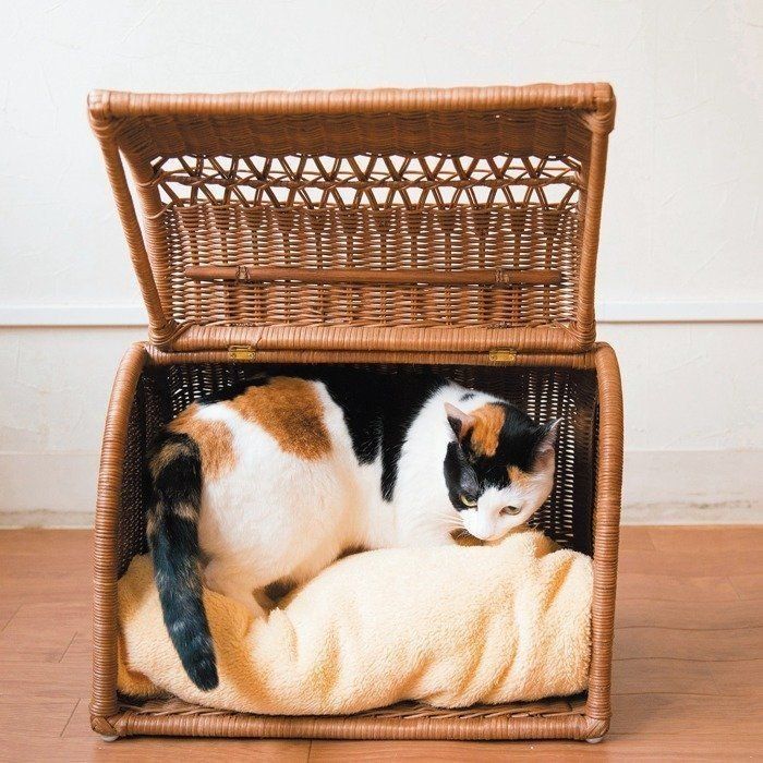 撮影／中川文作