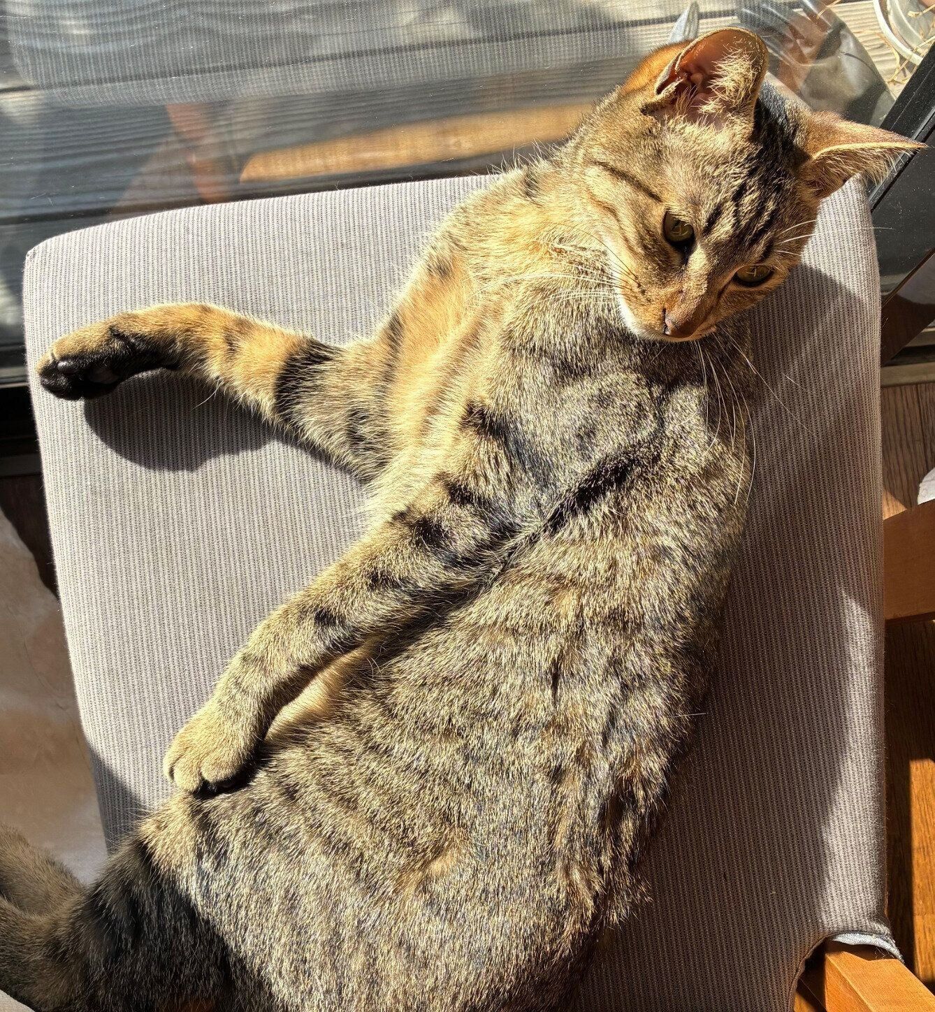 まったりするムーくん