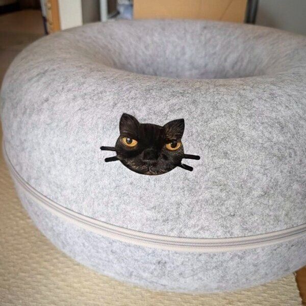 まるでプリントみたいなめいちゃん