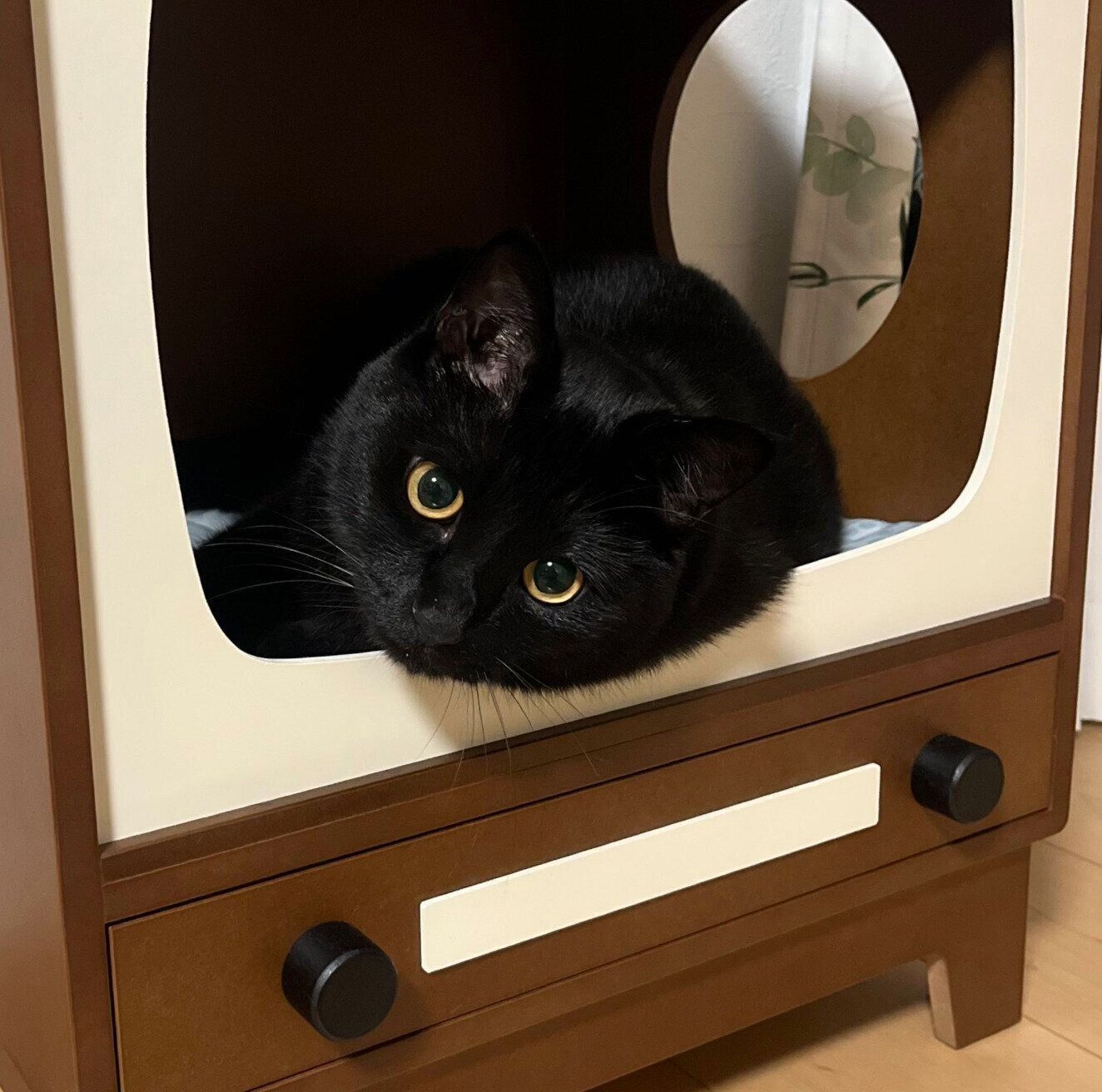 くつろぐうにくん