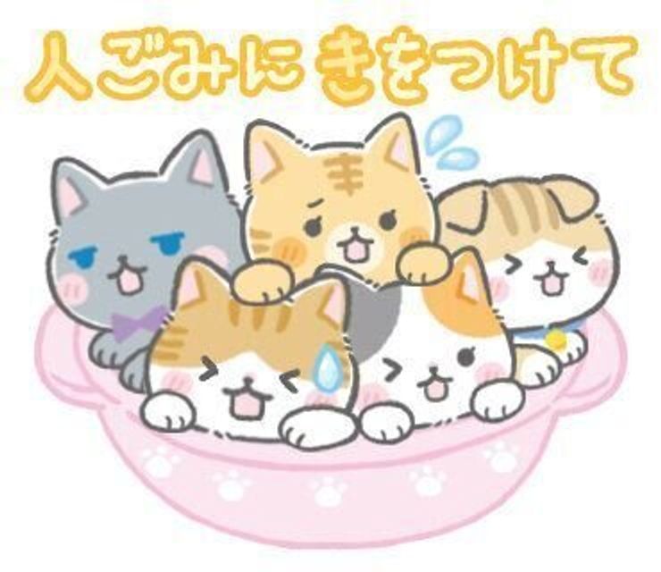 贈りたい猫のlineスタンプ 会えない相手を気づかうメッセージがステキ ねこのきもちweb Magazine 贈りたい猫のlineスタンプ 会えない相手を気づかうメッセージがステキ ねこのきもちweb Magazine