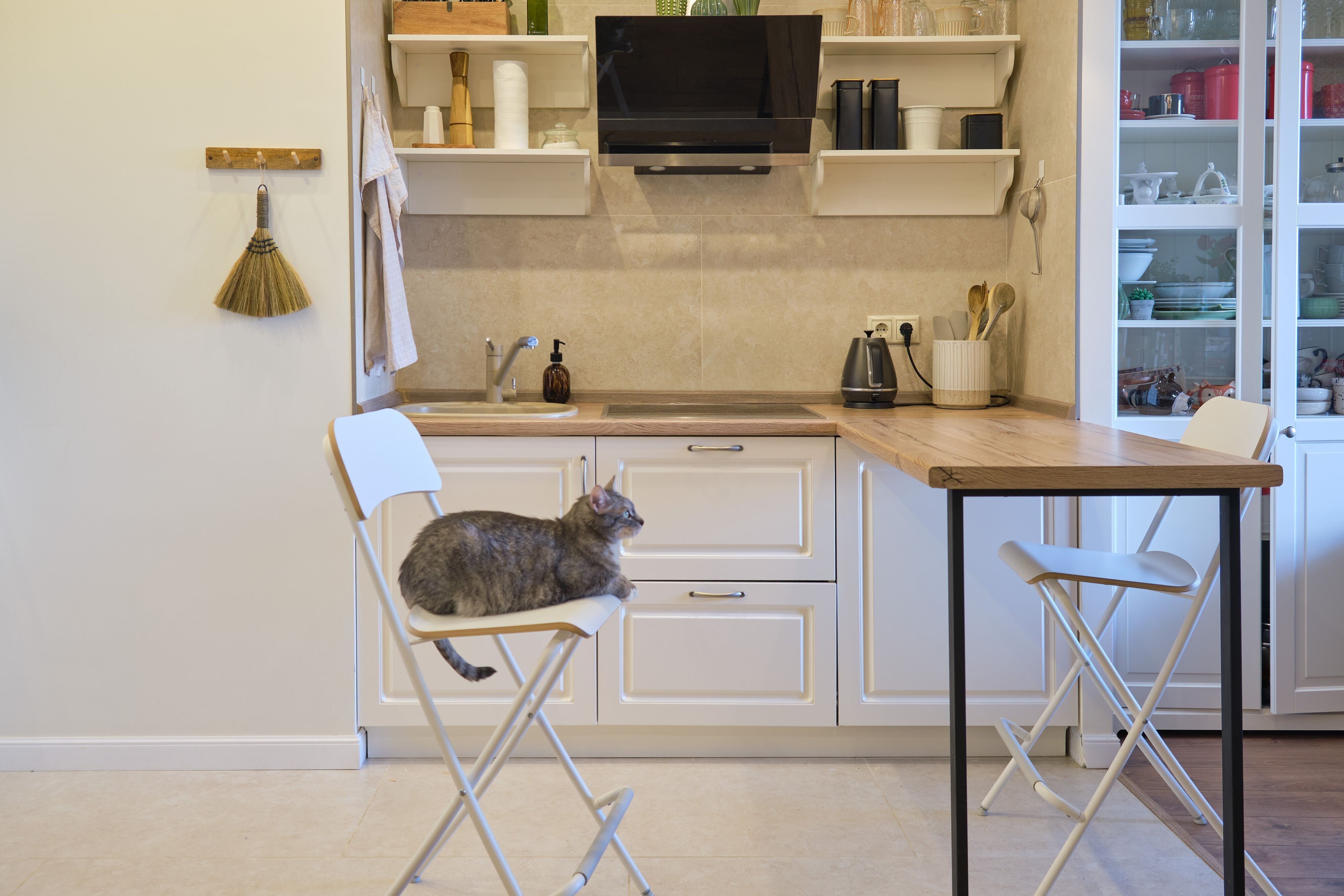 画像／iStock、Getty Images Plus