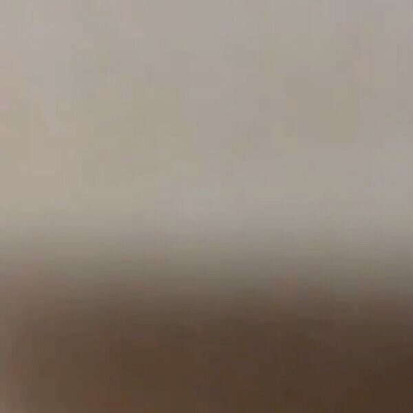 だるまさんがころんだをしてみたら…