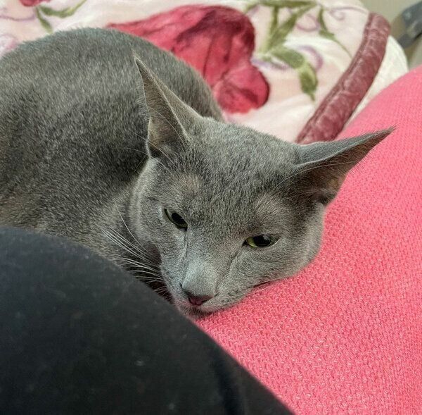 くつろぐこぱんくん