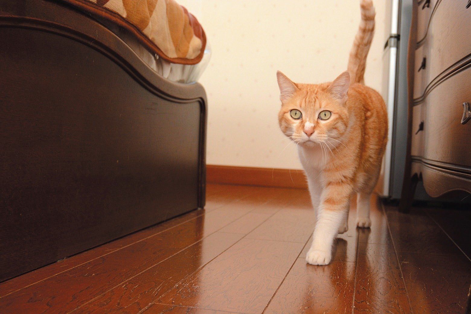 撮影／栗林　愛