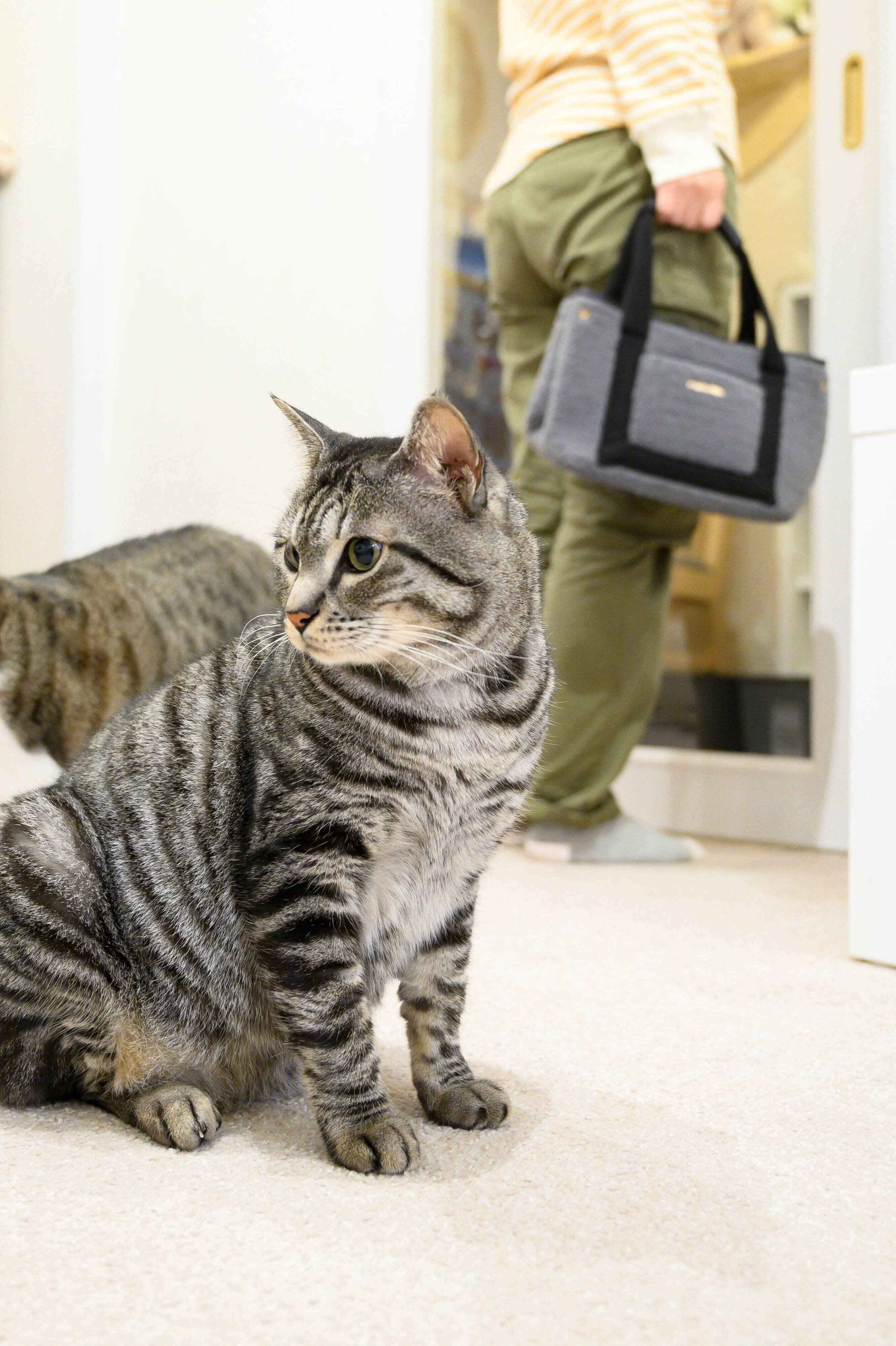 撮影／中川文作