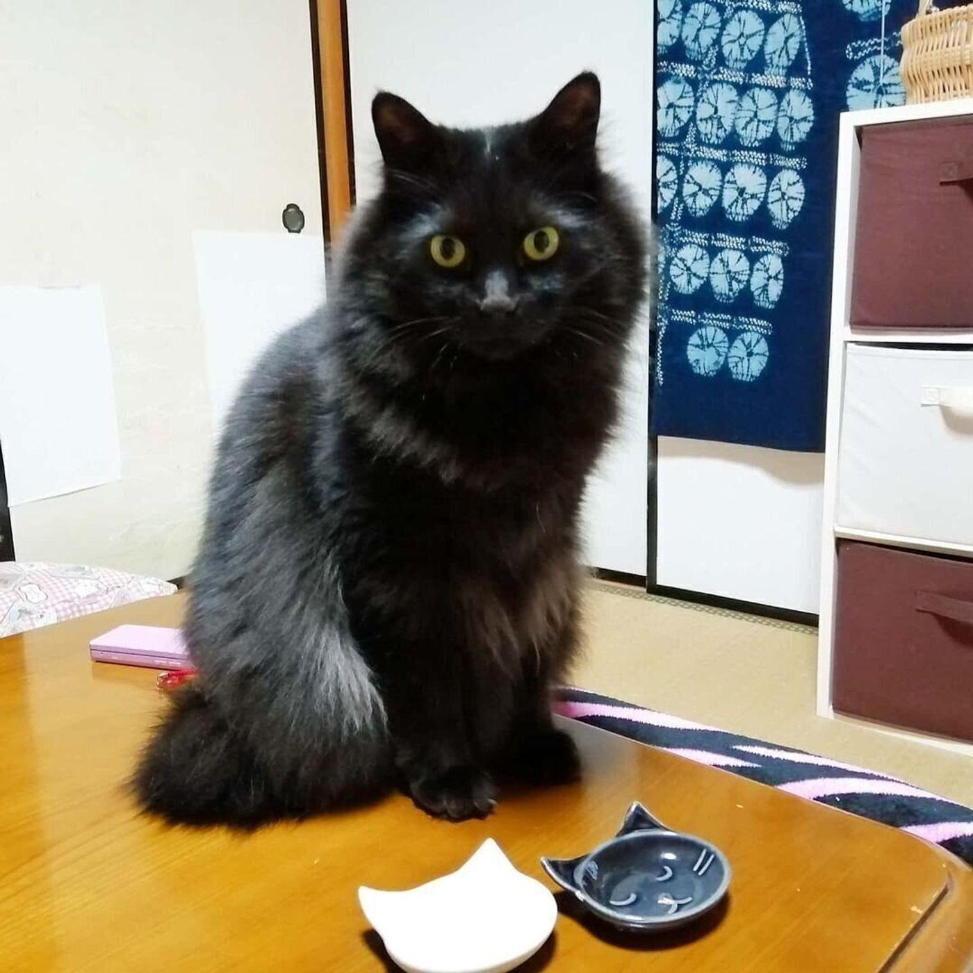 猫デザインがかわいい 100円ショップ セリア のおしゃれな食器 ねこのきもちweb Magazine 猫デザインがかわいい 100円ショップ セリア のおしゃれな食器 ねこのきもちweb Magazine