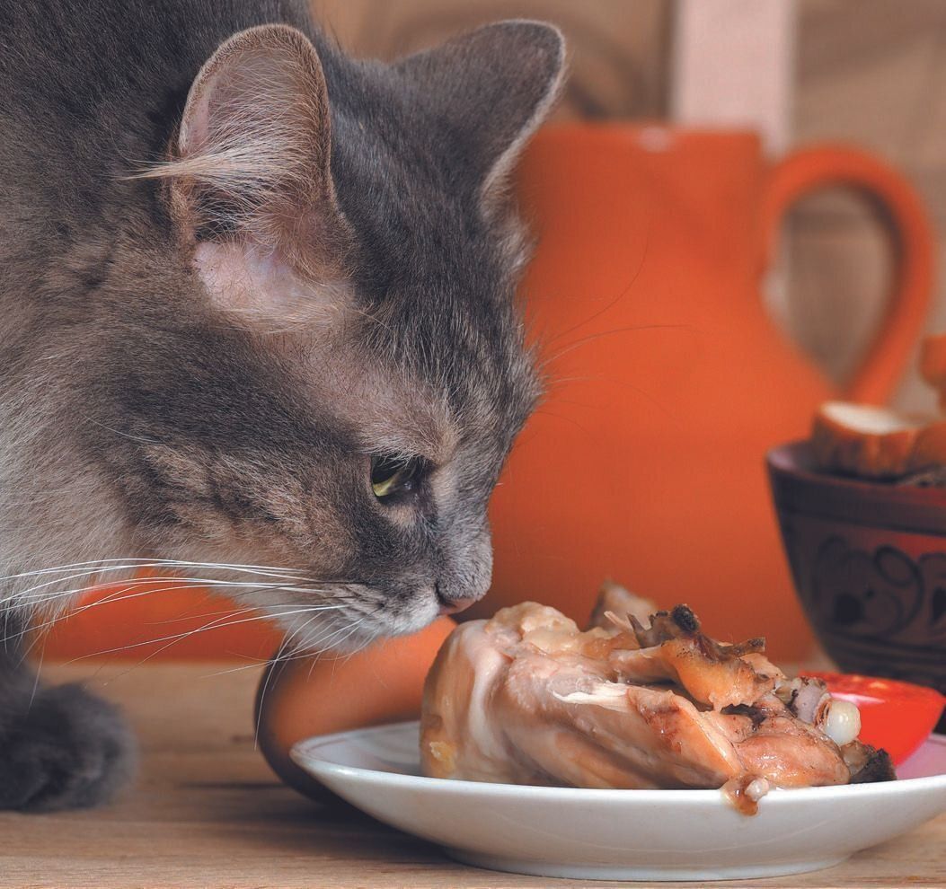 写真／Akimasa Harada