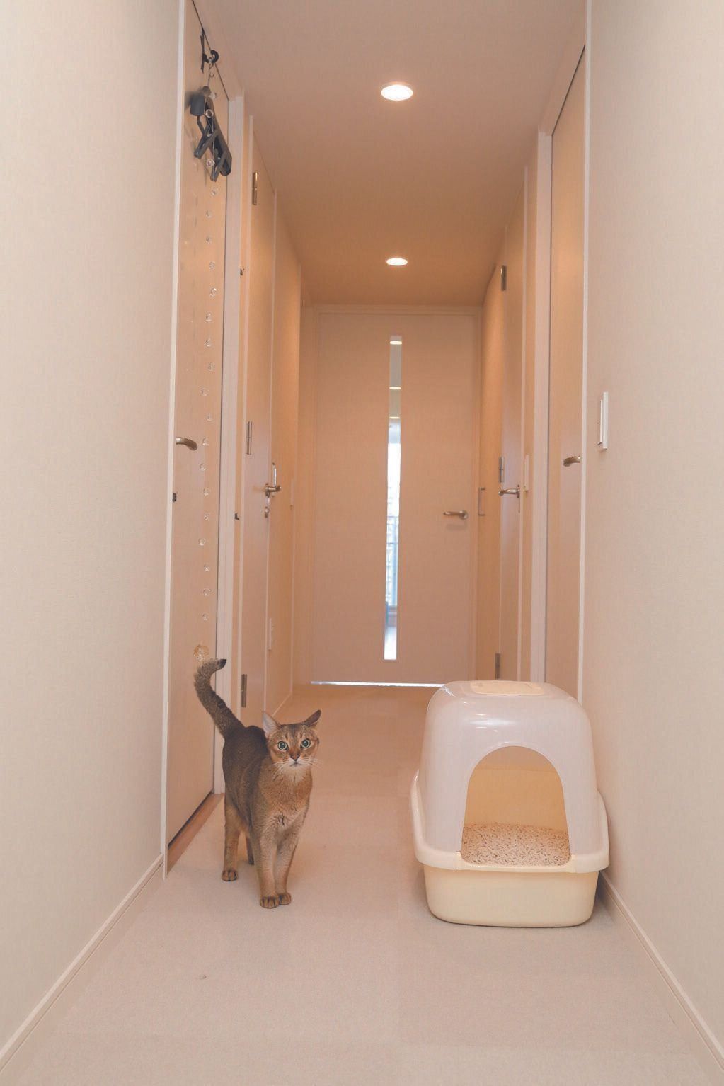 写真／尾﨑たまき