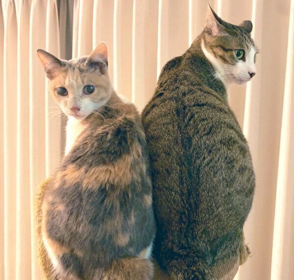 寄り添うあめくん、おとちゃん