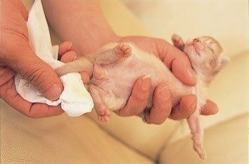 おしっこがしみ出す