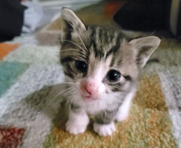 見つめるノアちゃん