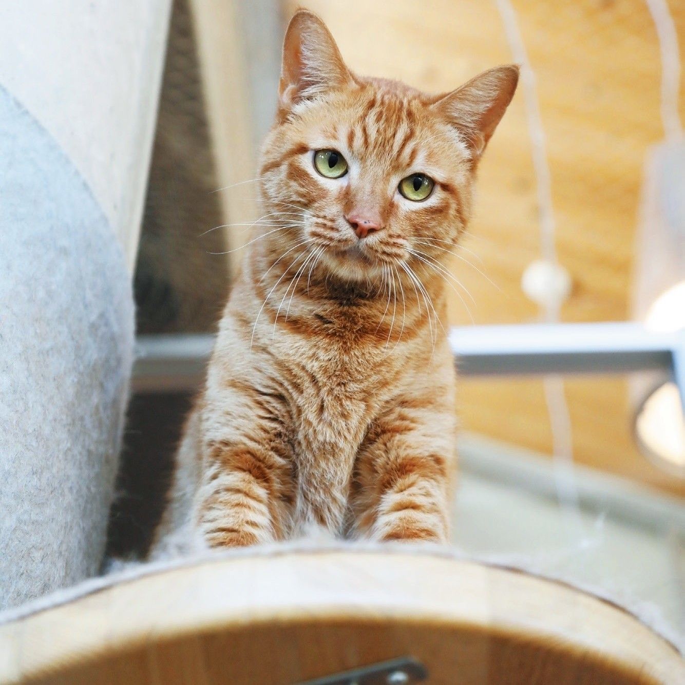 撮影／尾崎たまき