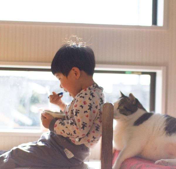 いつも一緒にいる男の子と猫