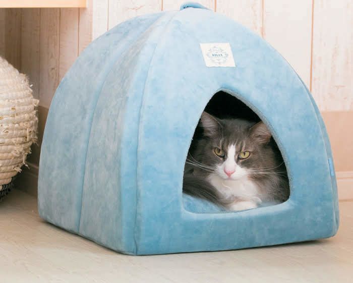 ベッドに入る猫