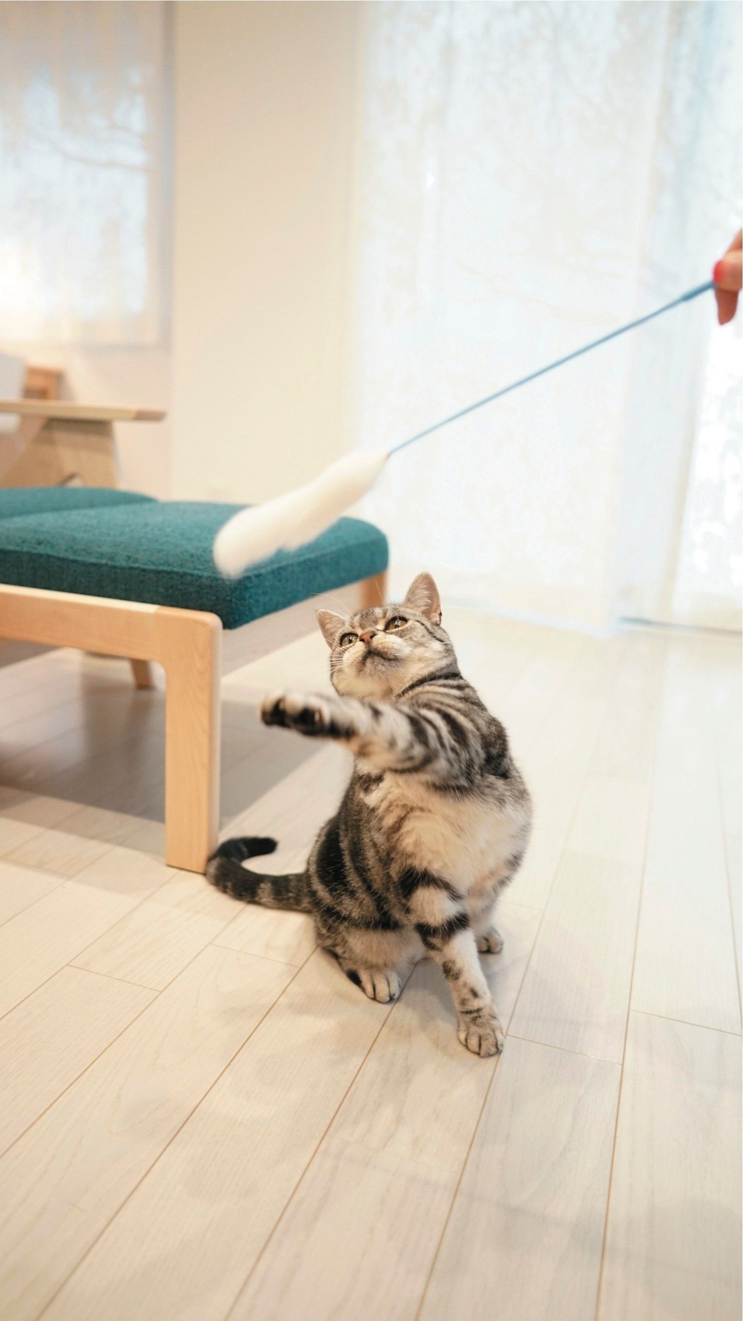 撮影／石原さくら