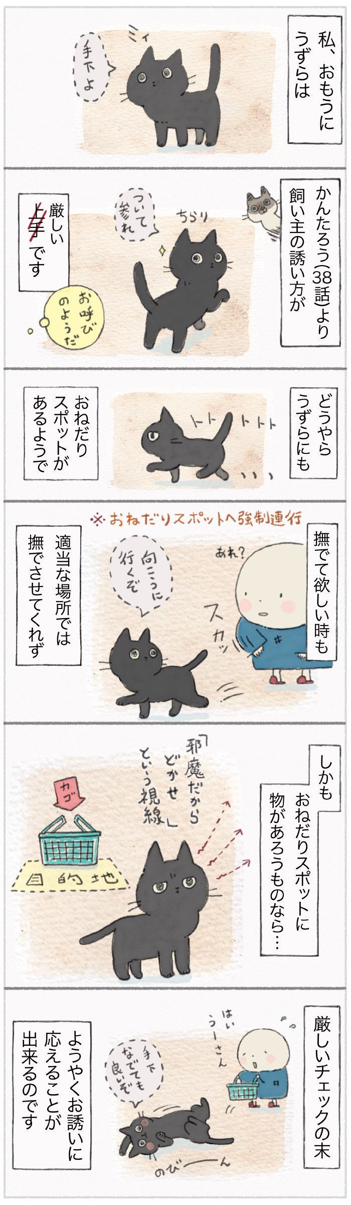 「ねこ連れ草」39話め